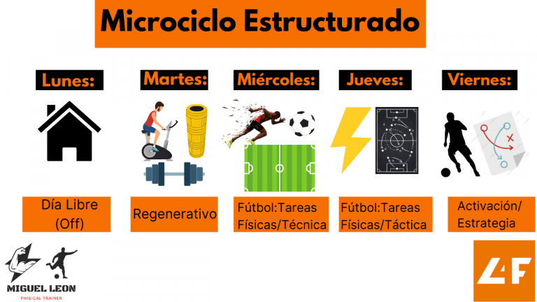 Que Es Un Microciclo De Entrenamiento